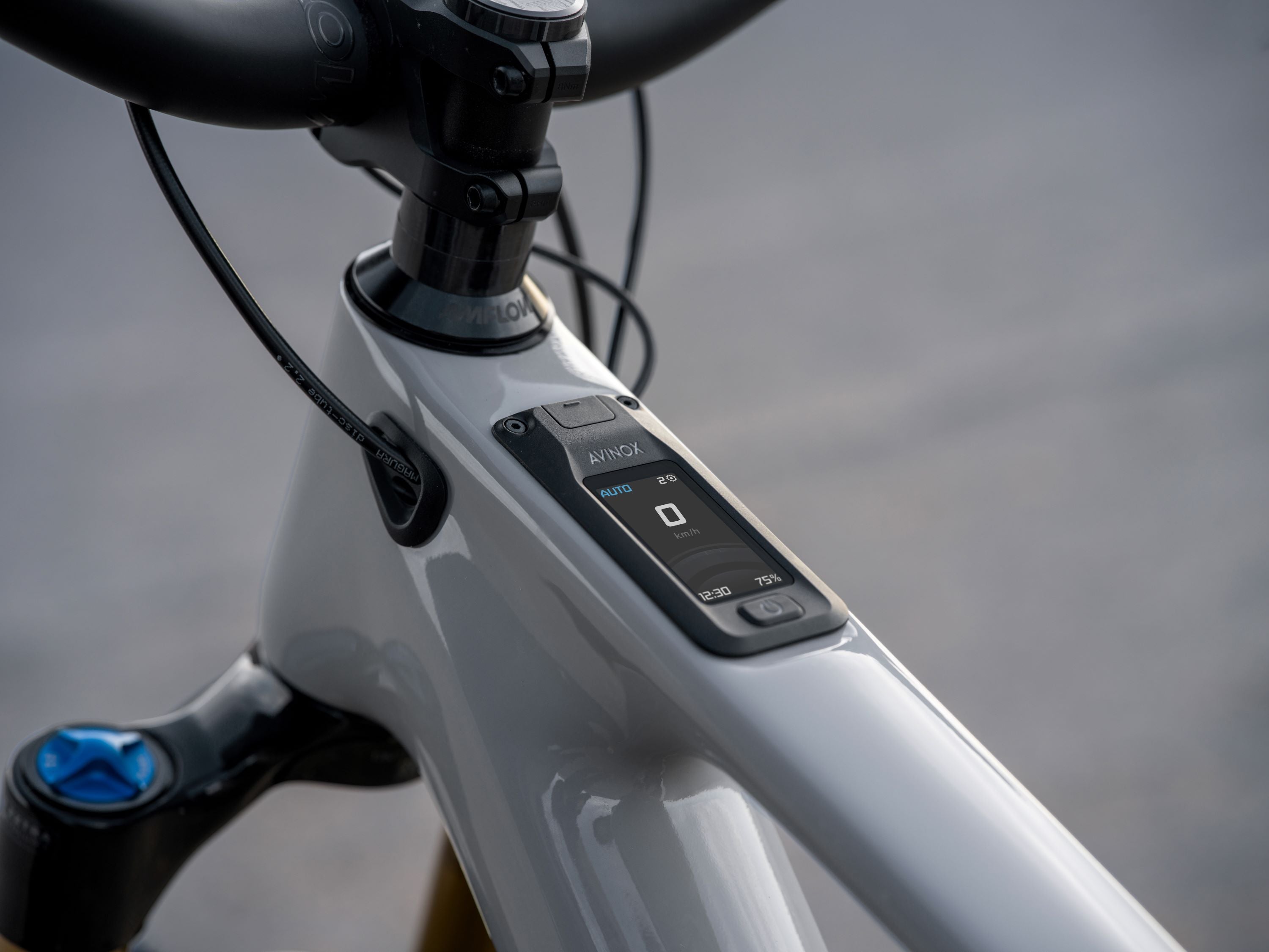 AMFLOW PX CARBON PRO